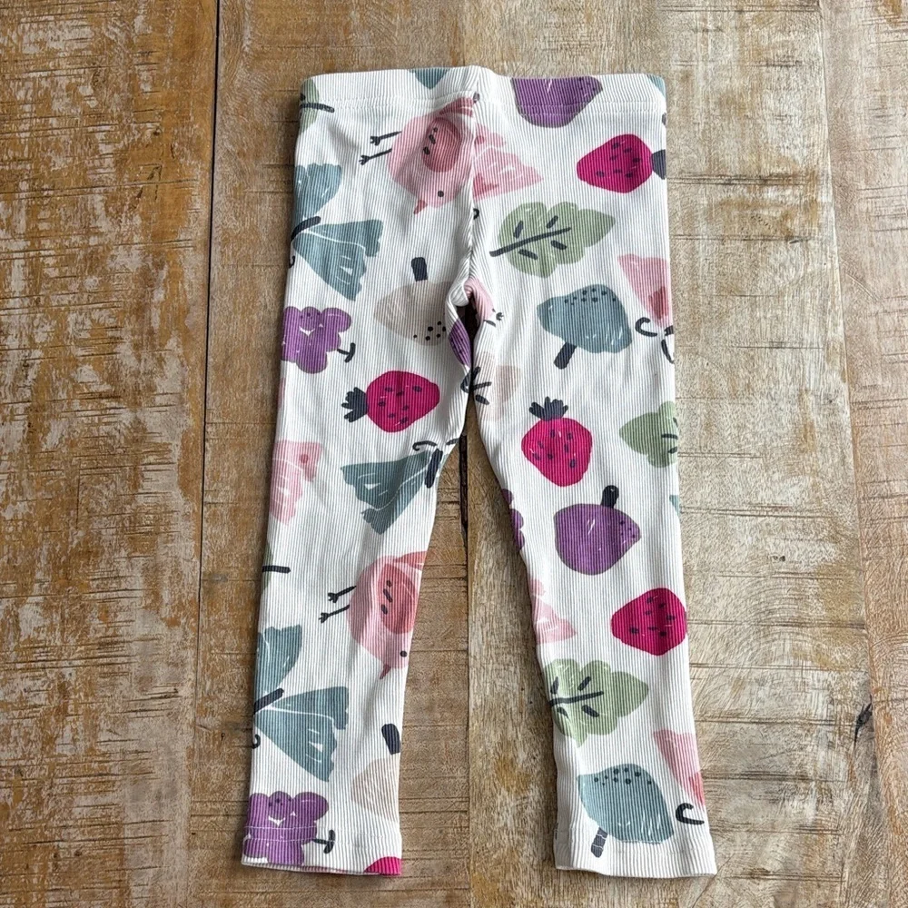 Carter’s Girls Outfit 4t